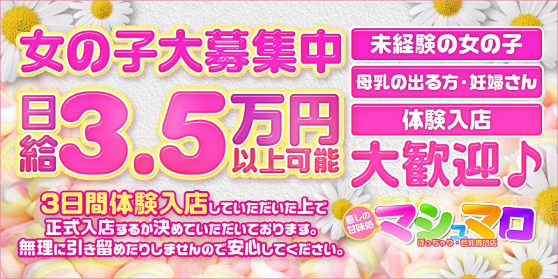 ぽちゃ&巨乳専門店★マシュマロ〔求人募集〕